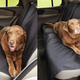 AmazonBasics Waterproof Hammock Seat Cover | $13 | Amazon
AmazonBasics Waterproof Car Bench Seat Cover | $12 | Amazon
